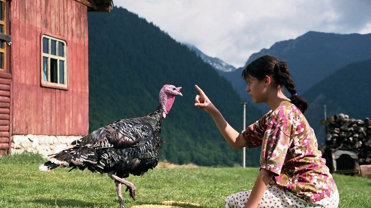 Lost and Found backdrop