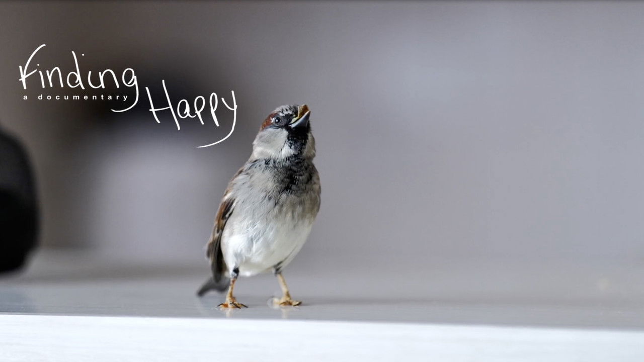 Finding Happy backdrop