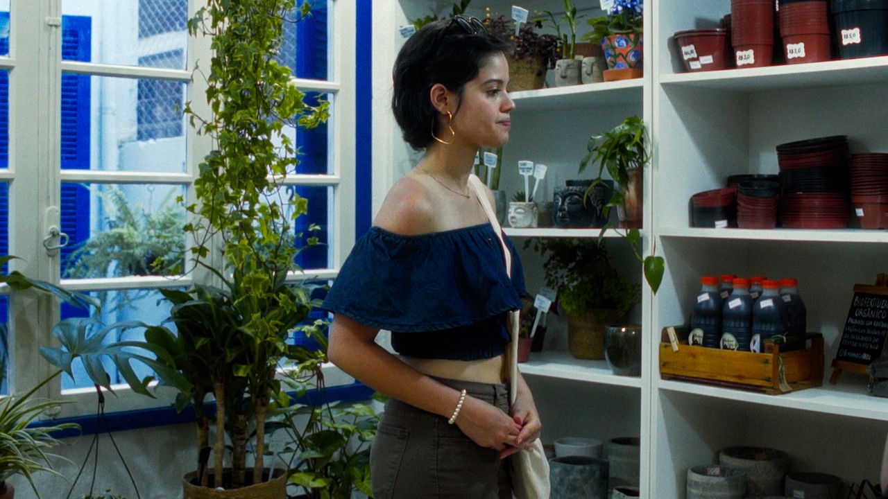 Flores da Primavera backdrop