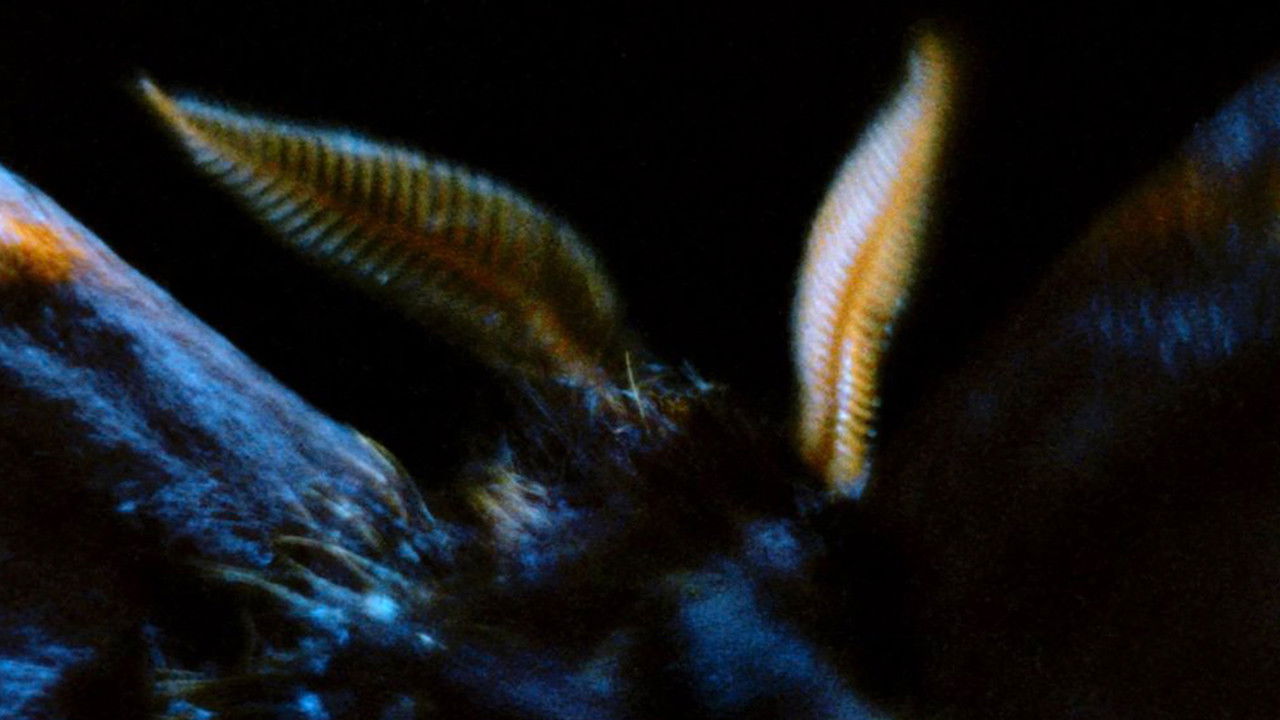 When We Encounter the World backdrop