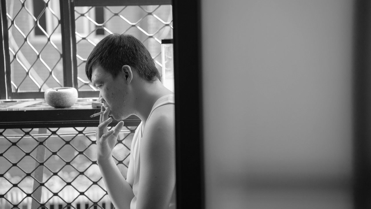 Animal Spirits backdrop