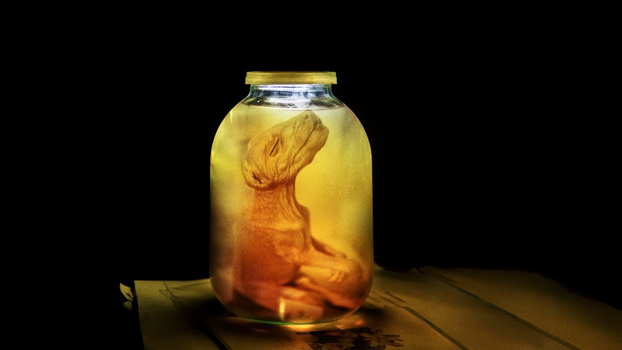 Stranger Than Nature backdrop