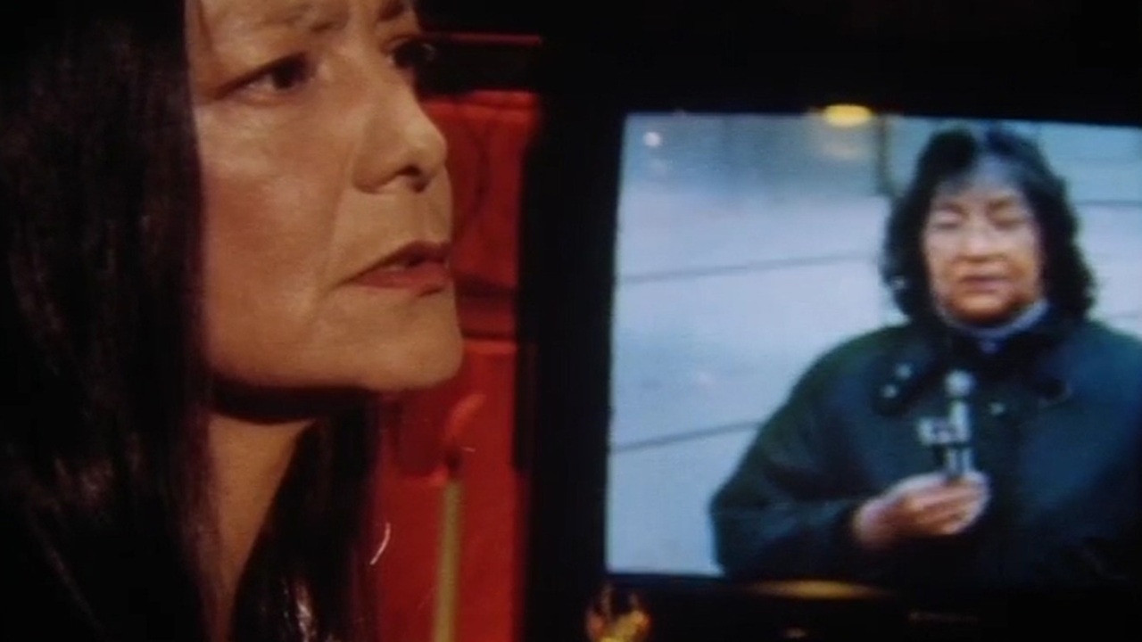 Honey Moccasin backdrop