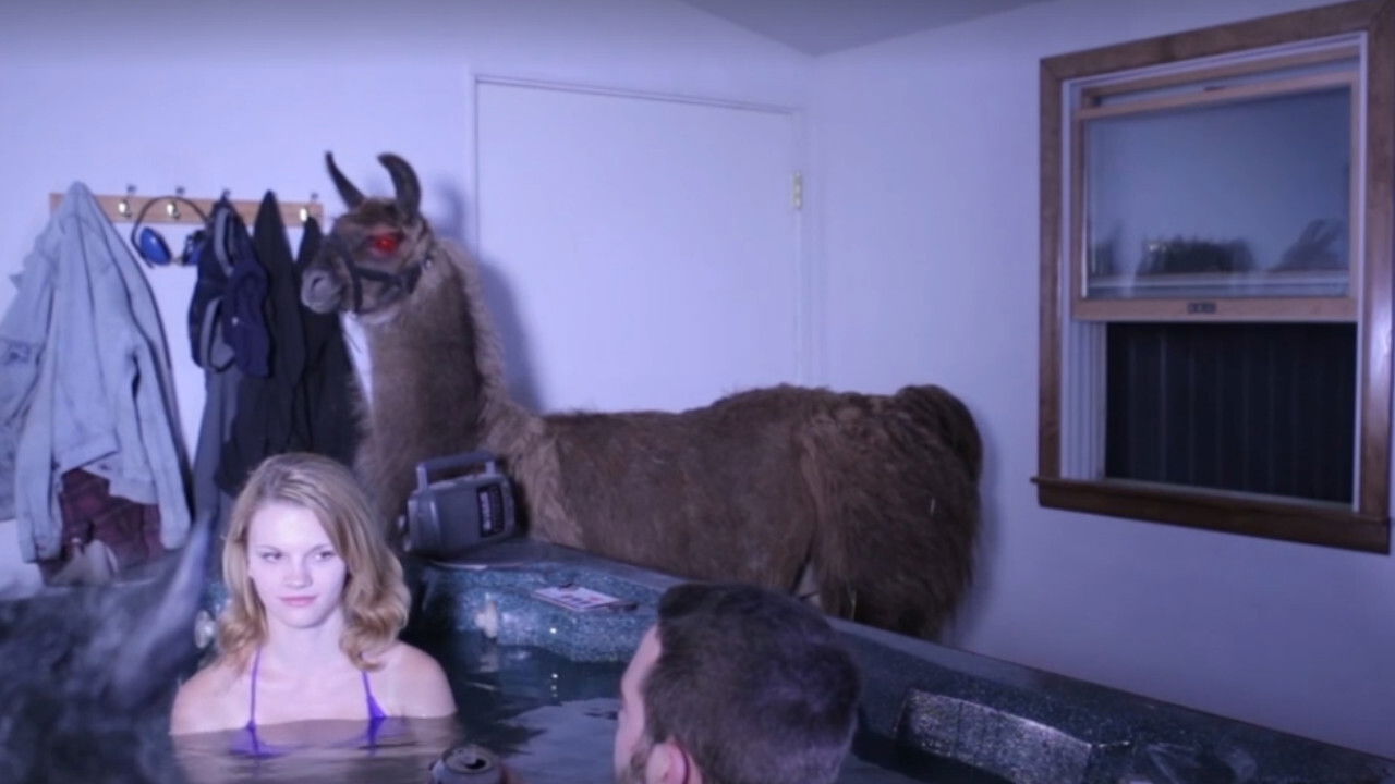 Llamageddon backdrop