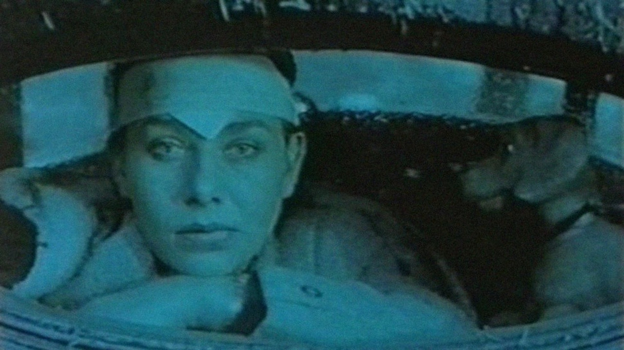 Images of Liberation backdrop