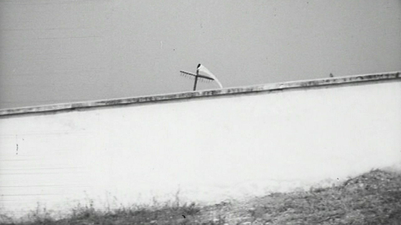 Down With Uncle backdrop