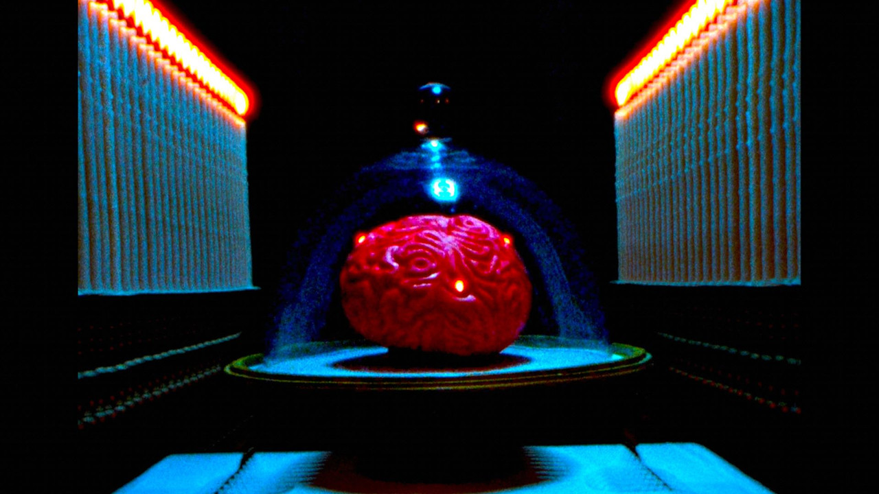 My Dead Wife's New Brain backdrop