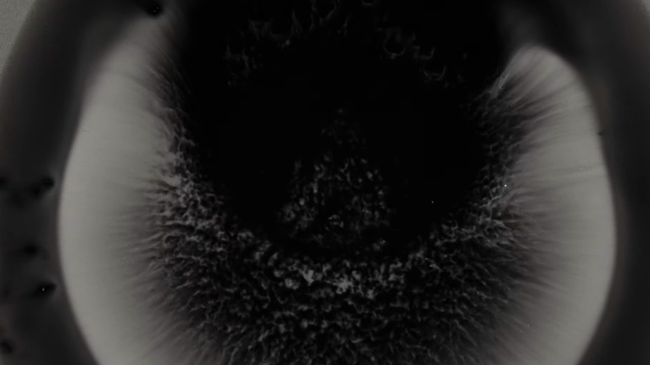 Michael Gira: I Wonder If I’m Singing What You’re Thinking Me to Sing (Live Solo 2022) backdrop