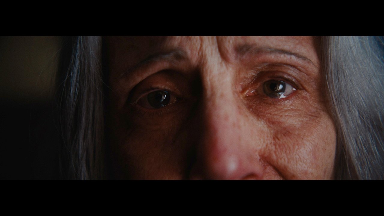 O Novo Corpo backdrop