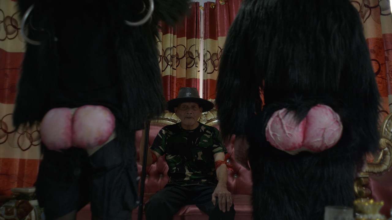 Primate Visions; Macaque Macabre backdrop