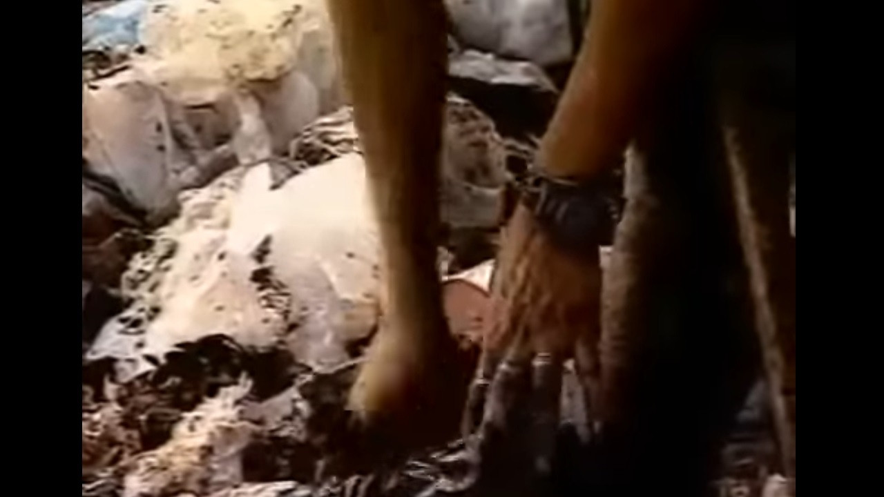 The Scavengers backdrop