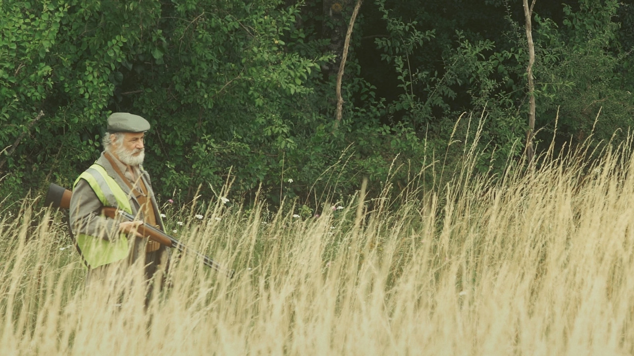 Conte Cruel - Un dimanche à la chasse backdrop