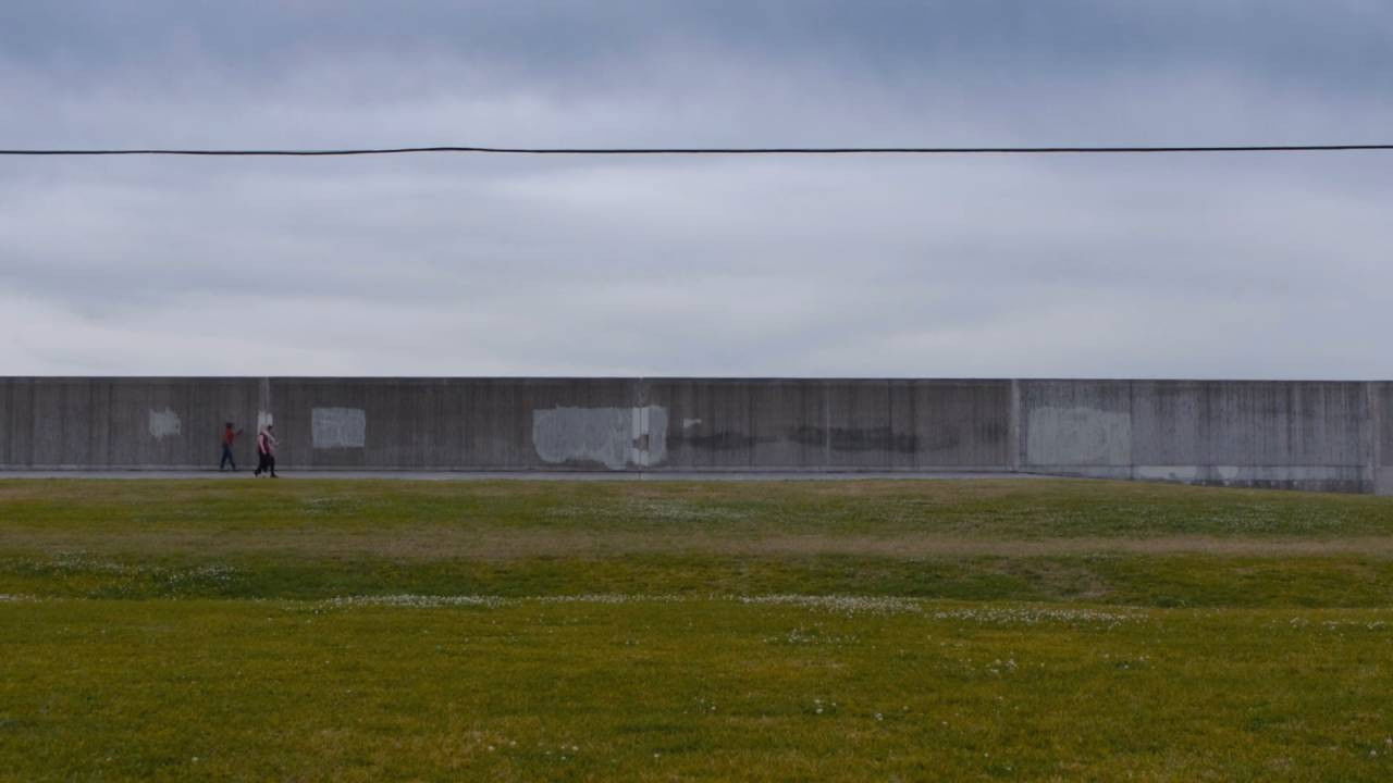 Hollow Tree backdrop