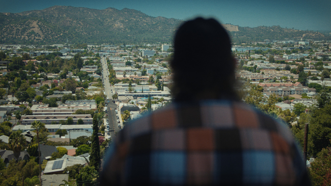 Dead or Dying backdrop