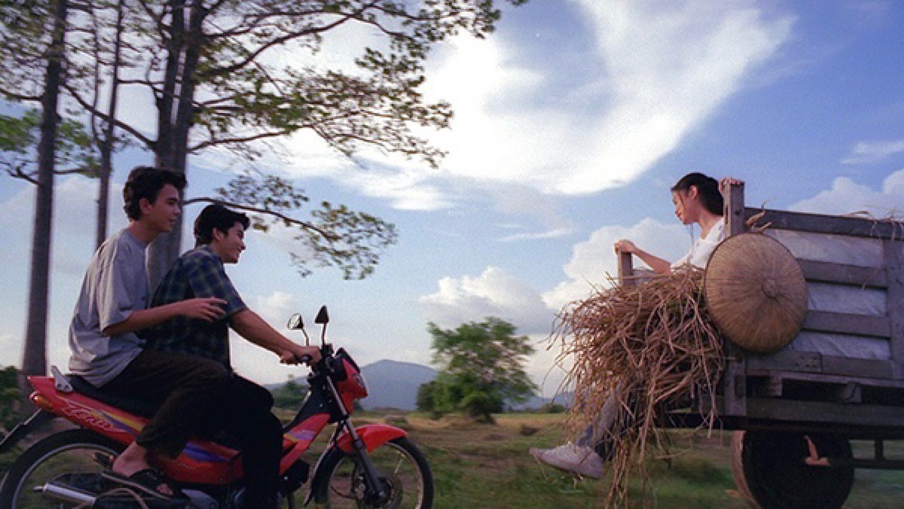 Country Life backdrop