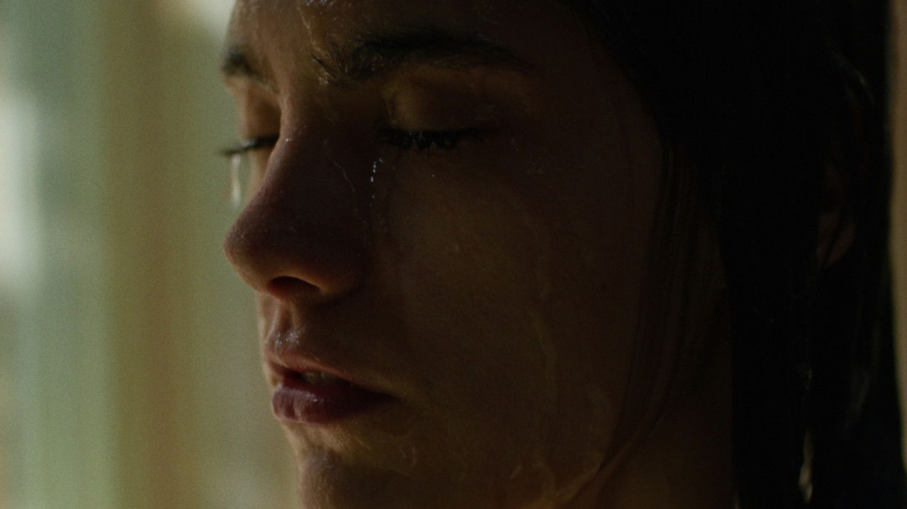 Summer to Come backdrop