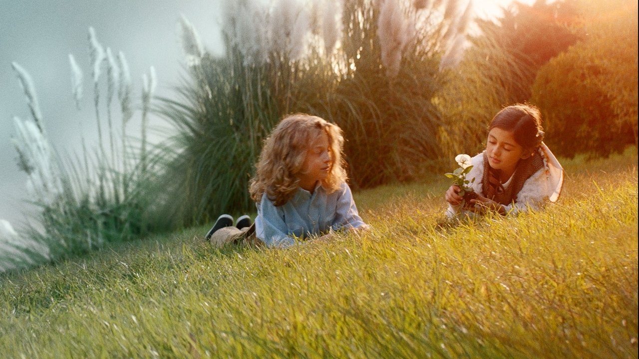 Make a Wish backdrop