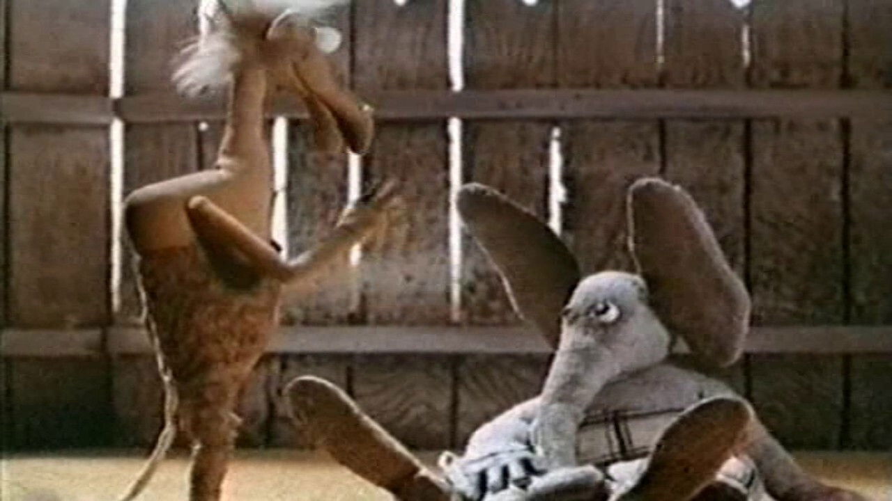 Two Camels Were Flying backdrop