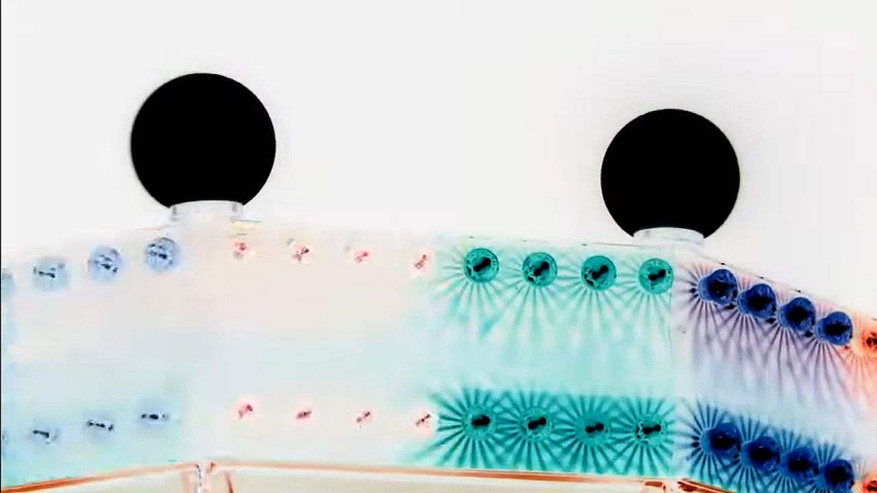 Um Parque de Diversões backdrop