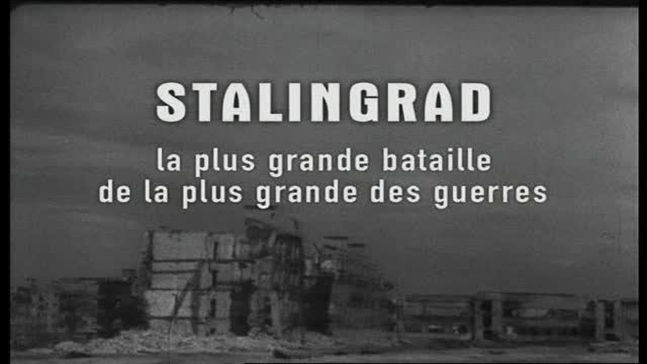 Stalingrad, la plus grande bataille de la plus grande des guerres backdrop
