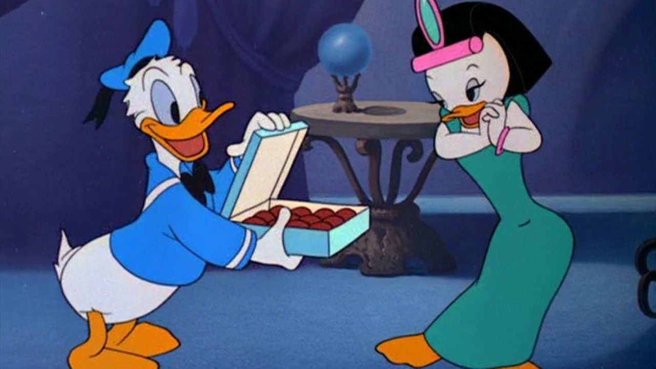 Straight Shooters backdrop