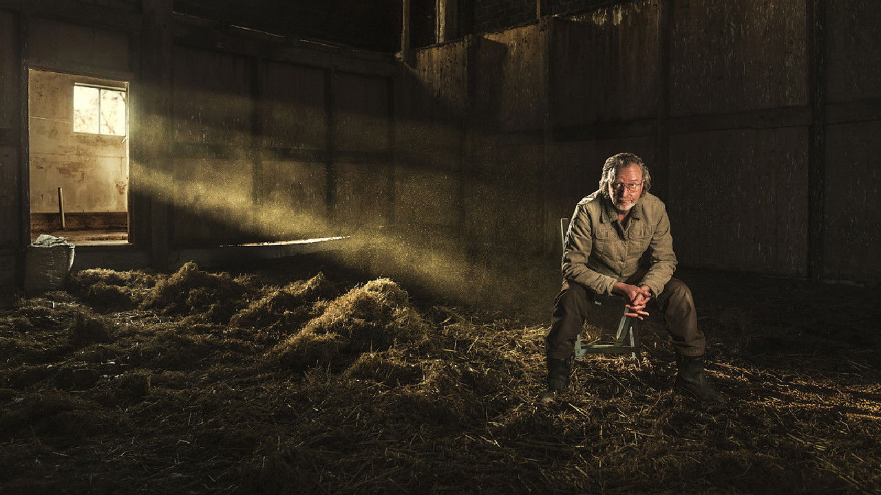 Ton Kas: Kakmaker backdrop