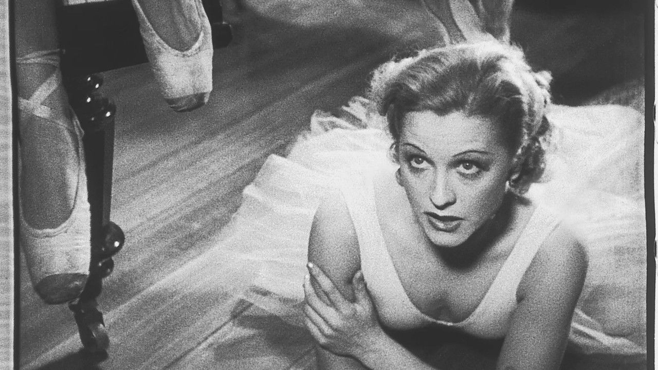 Silhouettes backdrop