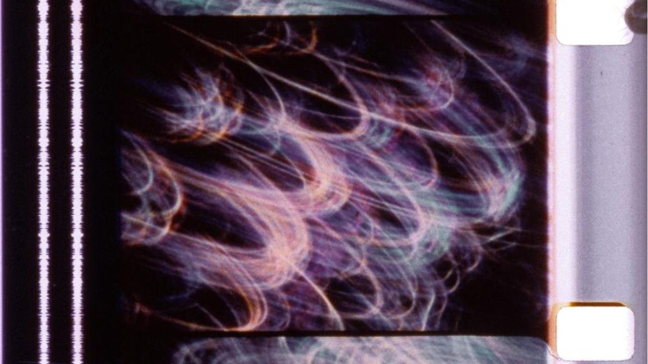 Our Lady of Paris backdrop