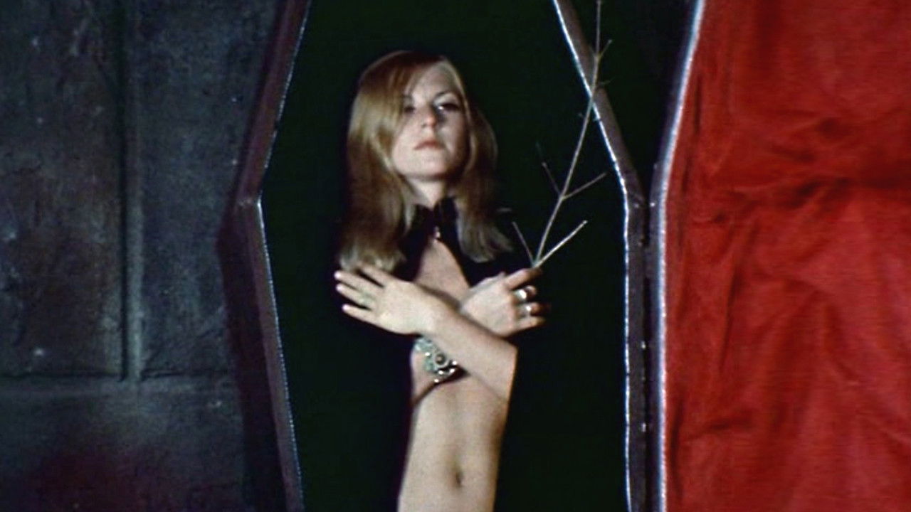 Terror at Orgy Castle backdrop