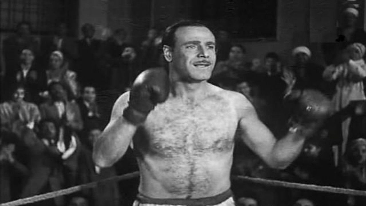 Al Montaser backdrop