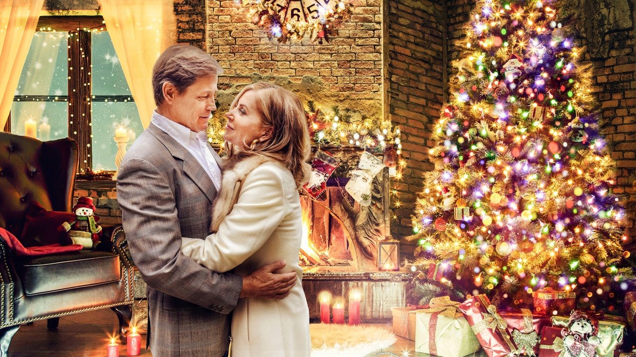 Middleton Christmas backdrop