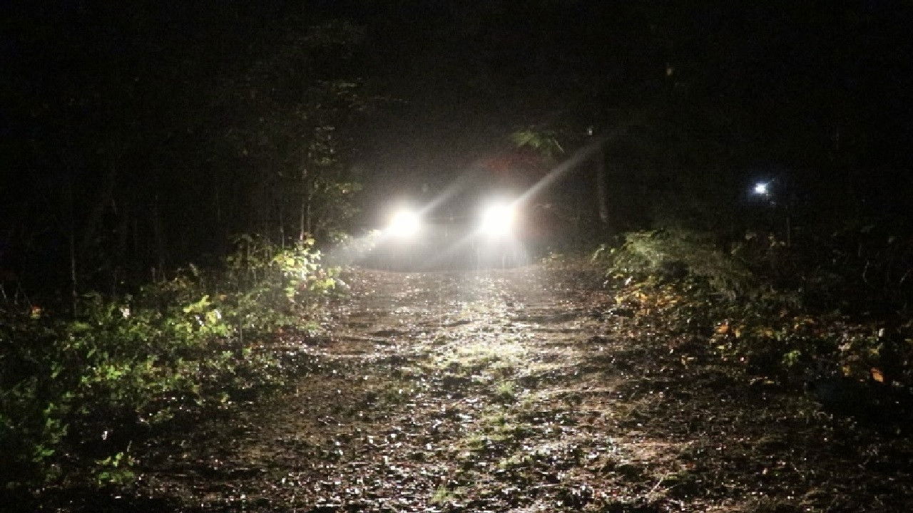 Harder to Cut Cold backdrop