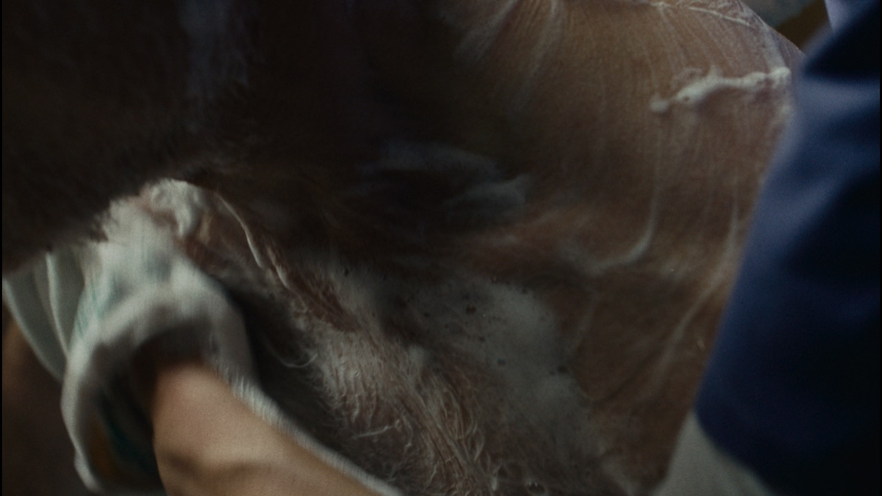 Dignity Keeper backdrop