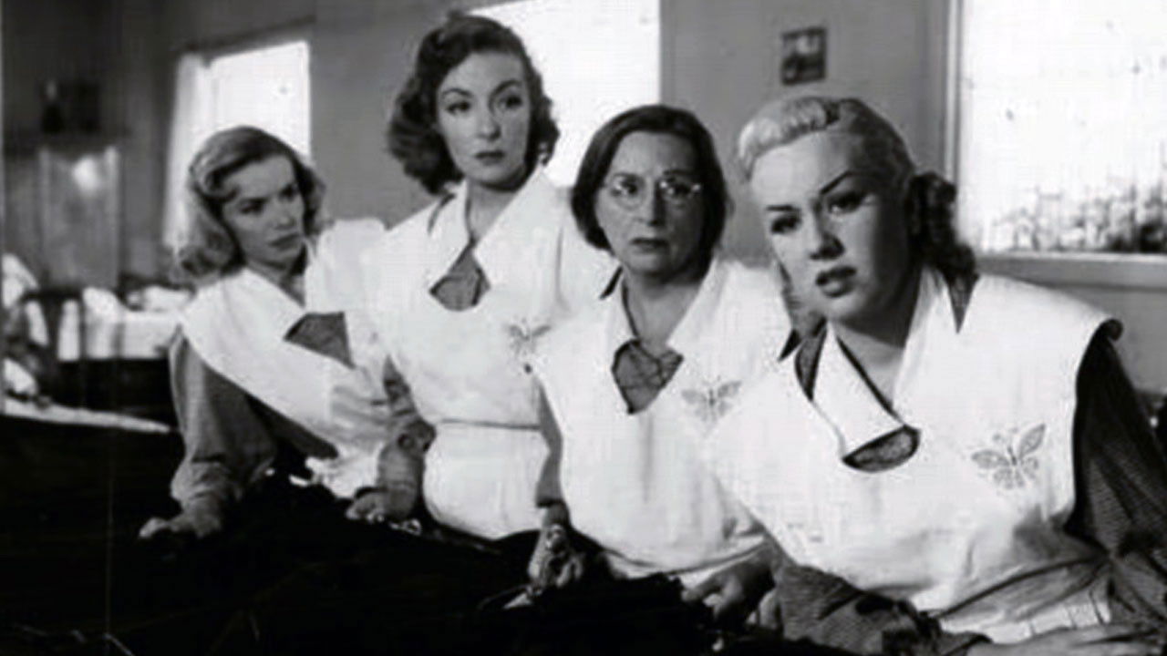 Mujeres en sombra backdrop