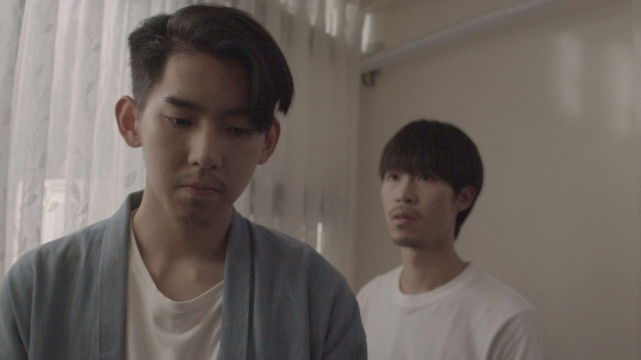 A Cohabitation backdrop