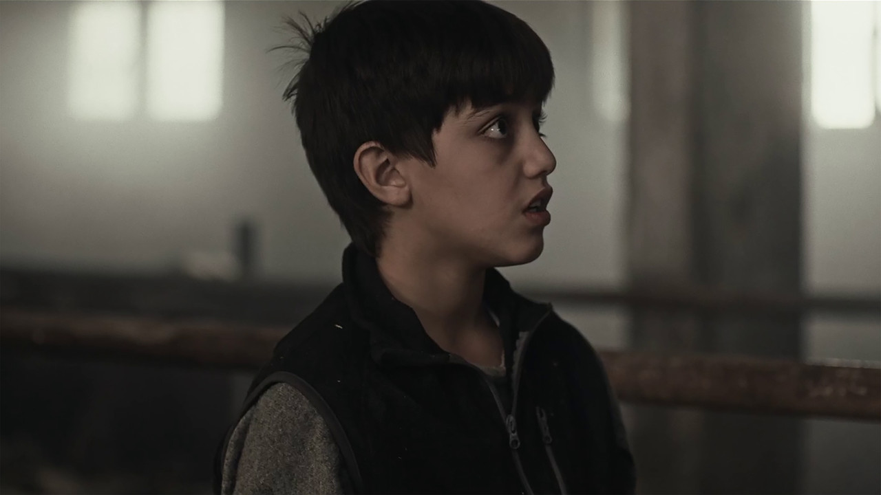 When the Walnut Leaves Turn Yellow backdrop