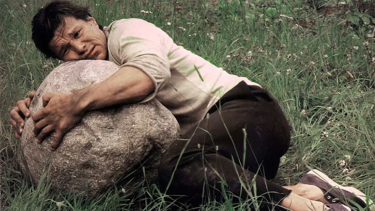 The Last Wedding backdrop