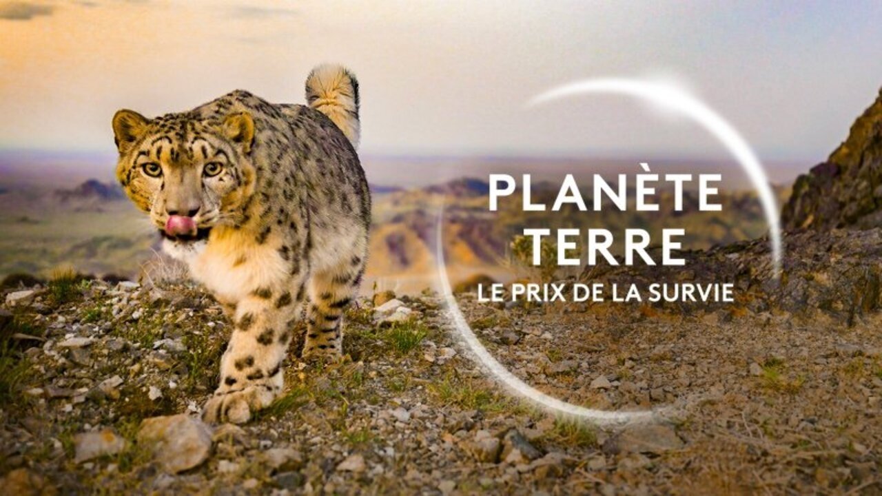 Planète Terre, le prix de la survie backdrop