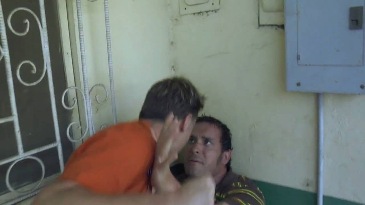 Sabor tropical backdrop