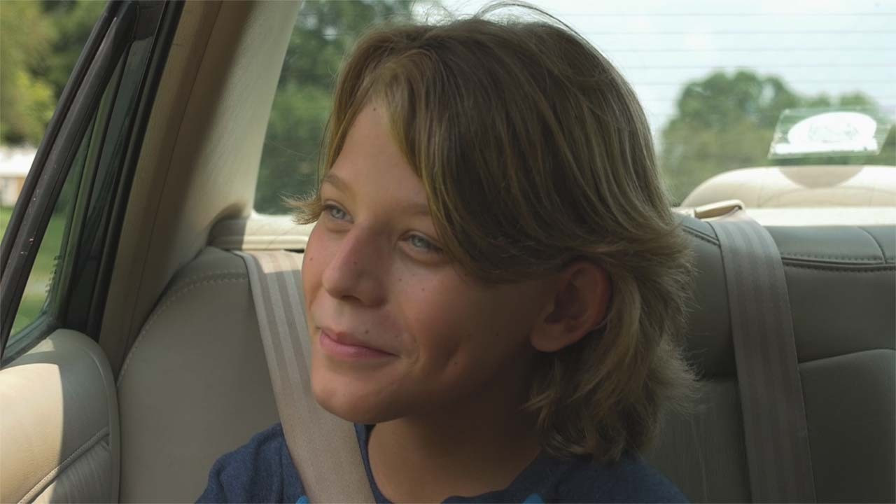 Summer Daydream backdrop