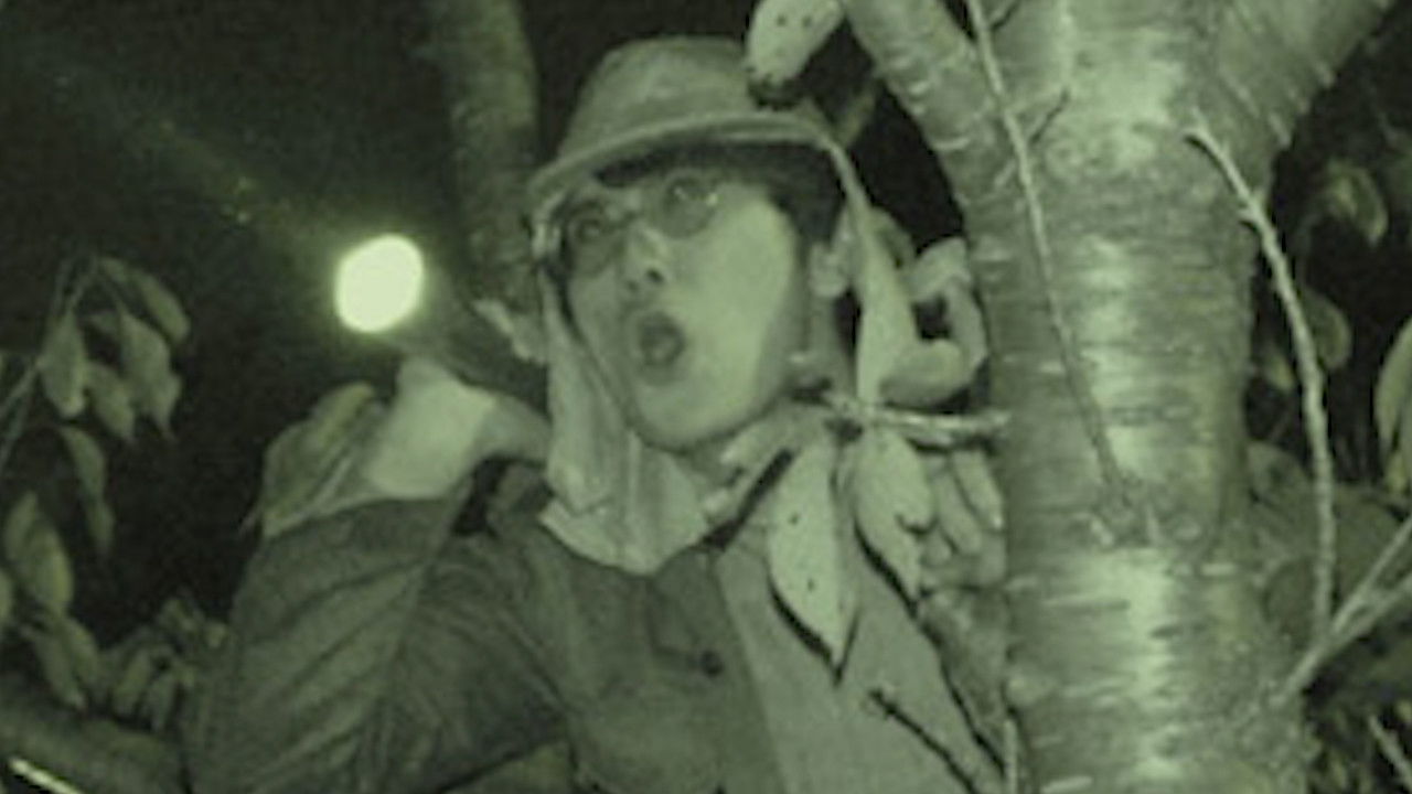 Spirit Spiral 002 backdrop