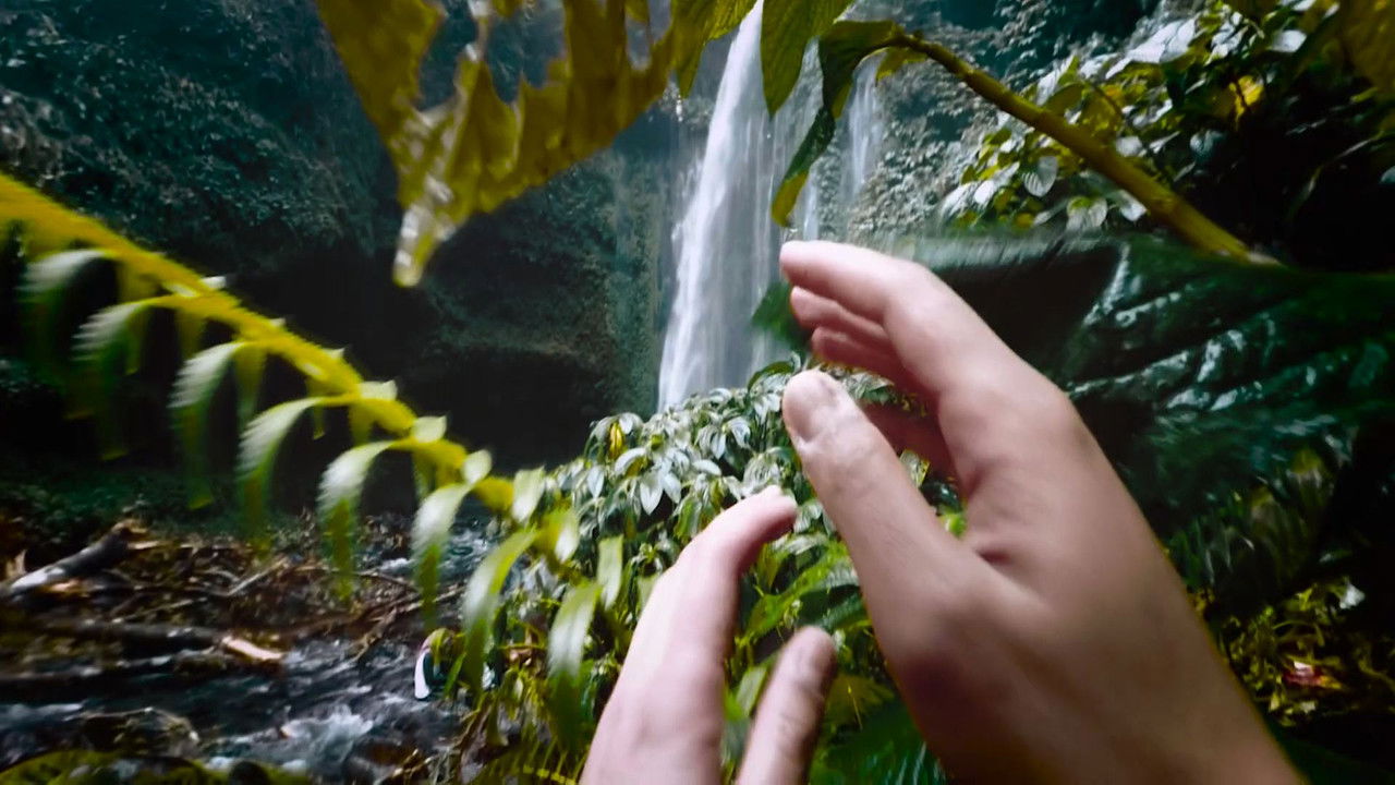 23 Thoughts About My Mother backdrop