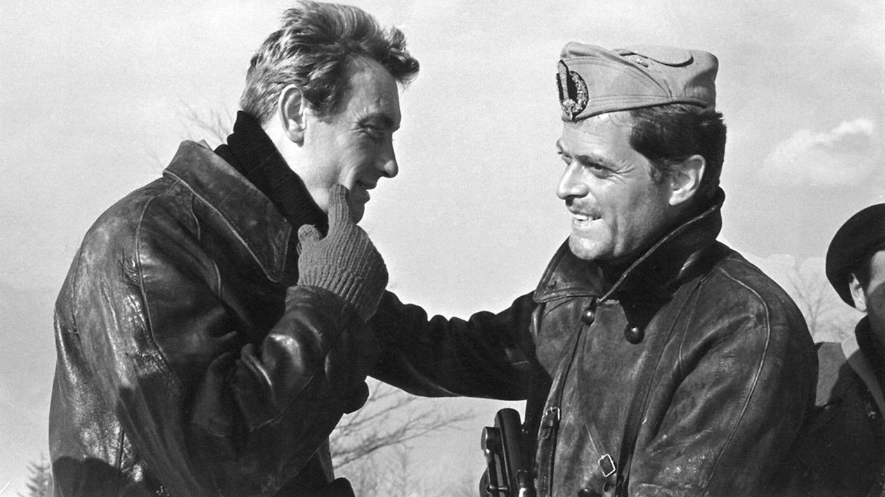 Pigeon Shoot backdrop