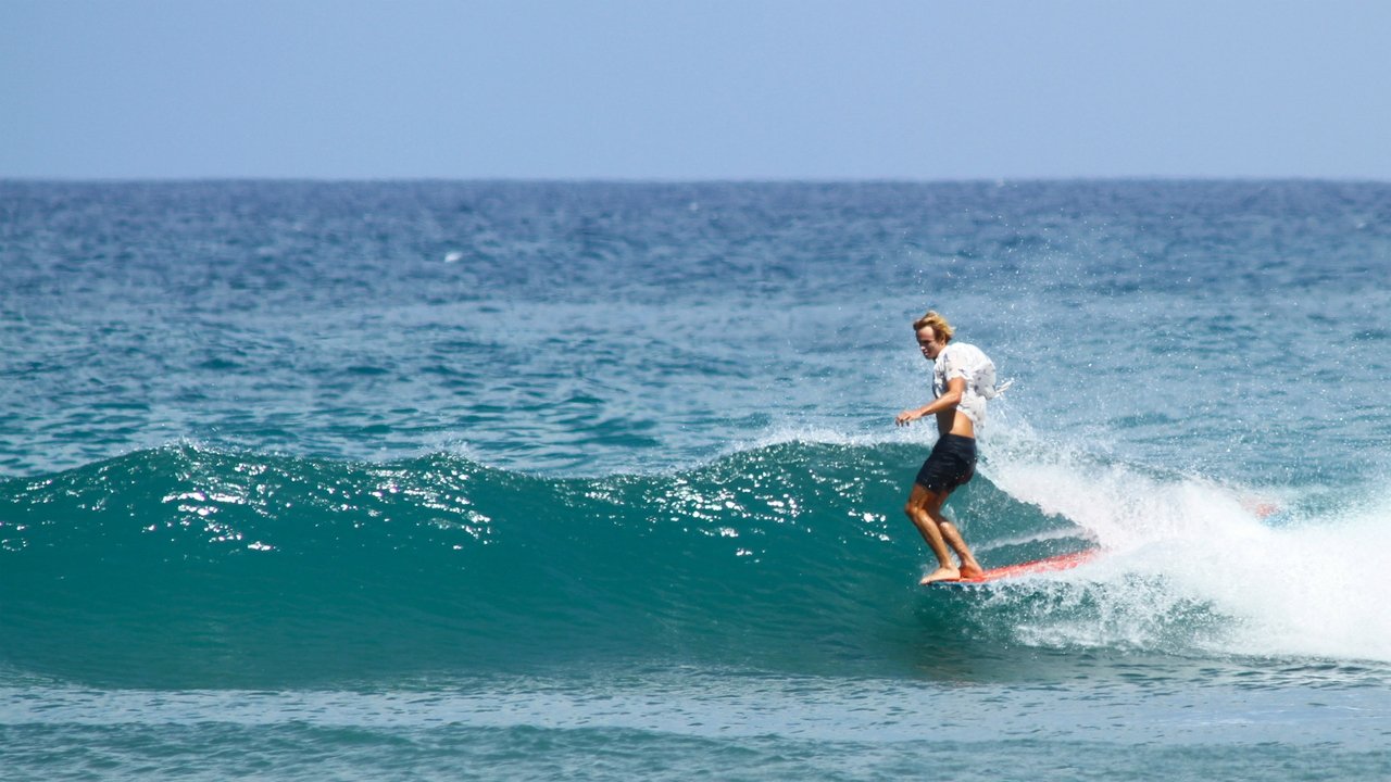 Forbidden Trim backdrop
