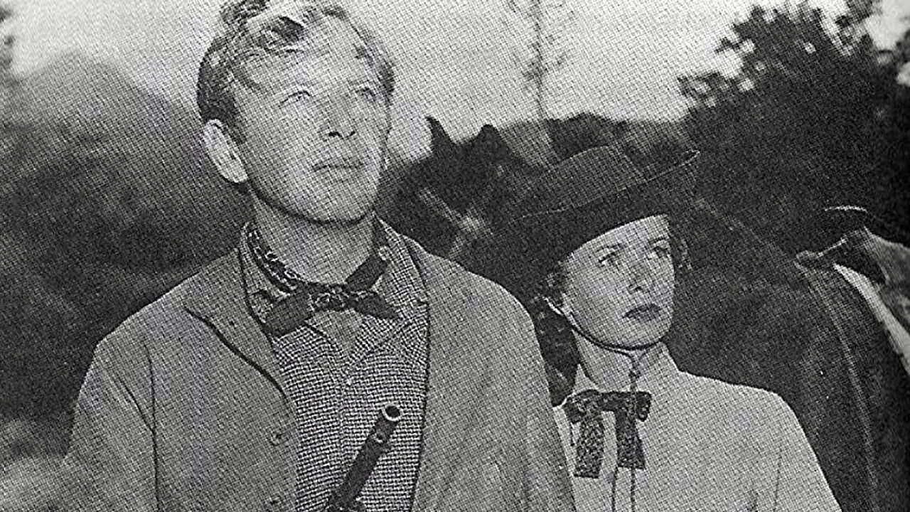 Montana Incident backdrop