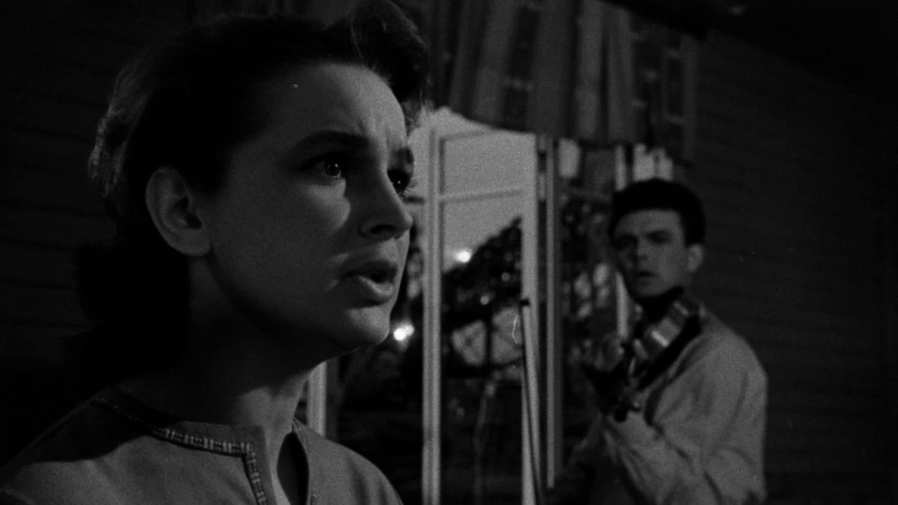 Flower on the Stone backdrop