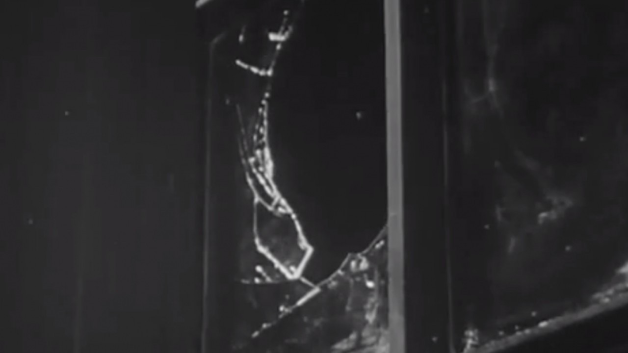 Why Vandalism? backdrop