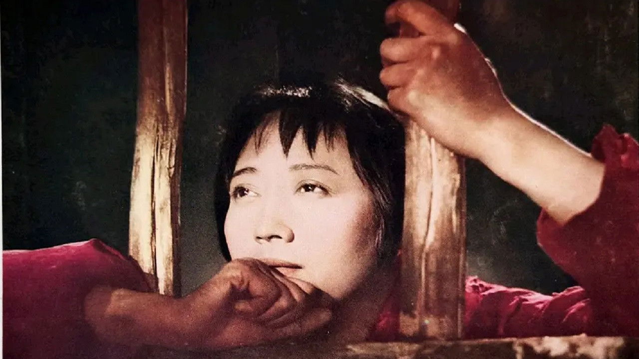 鄂尔多斯风暴 backdrop