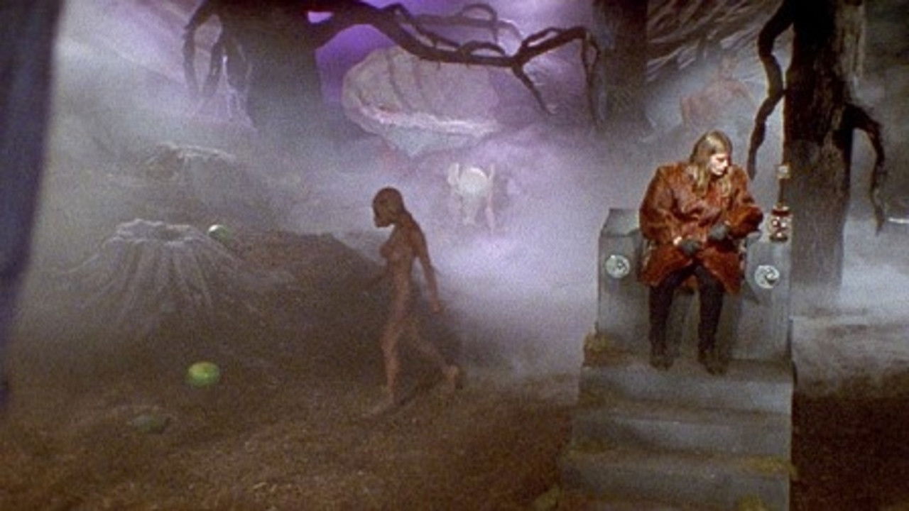 What Is It? backdrop