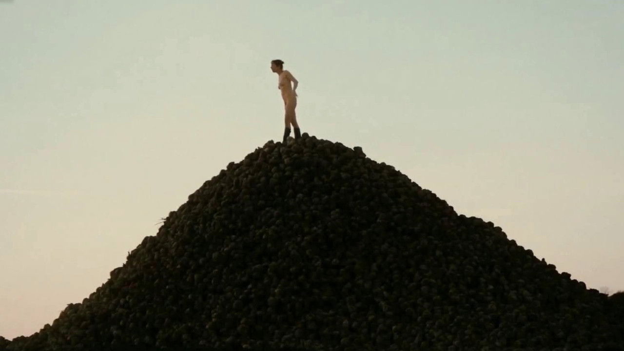 Forward, Calm and Straight backdrop